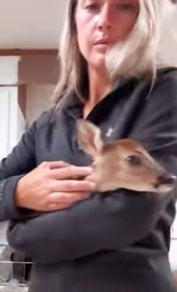 A1812002 Rescata al ciervo (Parte 2)