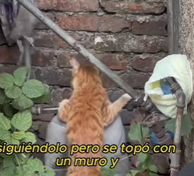 A1912004 De los golpes al amor (Parte 2)