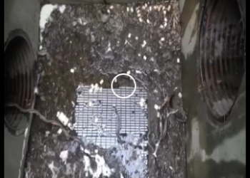 V1819010 todavia quedan personas buenas en el mundo(Parte 2)