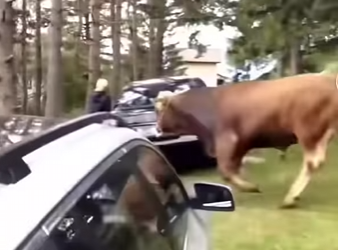 G2012006 No Cometas Estos Errores Con Estos (Parte 2)