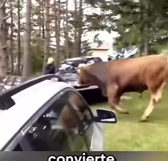 G2012006 No Cometas Estos Errores Con Estos (Parte 2)