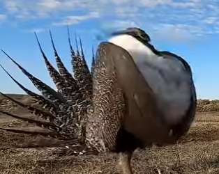 G2012015 La Naturaleza fue Injusta con estos (Parte 2)