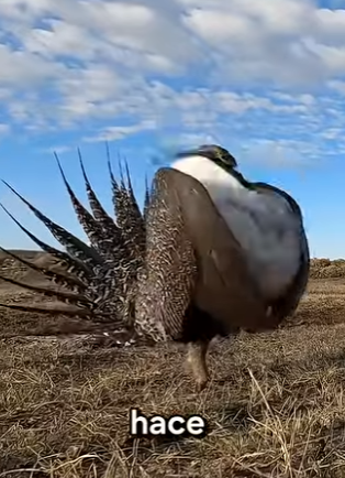 G2012015 La Naturaleza fue Injusta con estos (Parte 2)