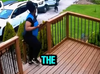 D1912003 Repartidora vive tenso momento con un husky vigilante (Parte 2)