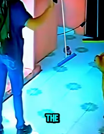 D1912014 Hombre paralizado al enfrentarse un perro imponente (Parte 2)