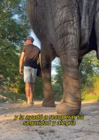 A2012014 Alguna vez has visto un elefante dotado (Parte 2)