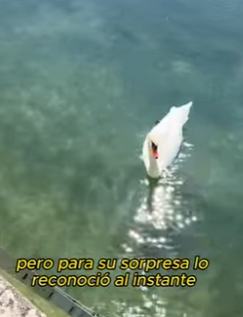 A2012012 Son buenos amigos (Parte 2)