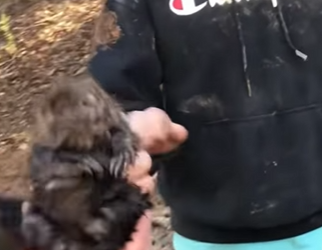 Castor de rescate (Parte 2)