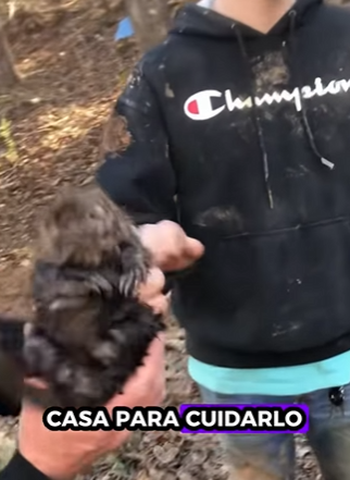 Castor de rescate (Parte 2)