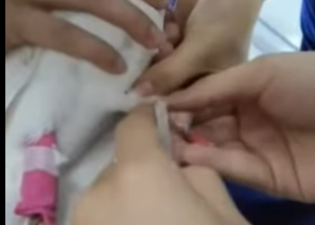 R2012006 Palomas de rescate (Parte 2)