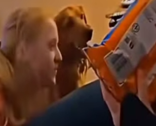 V2012011 la batalla por unas galletas termina mal (Parte 2)