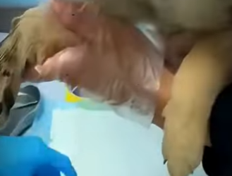 V2012003 mira esta bonita (Parte 2)