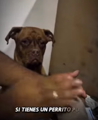 V2012012 Esto es una reflexion (Parte 2)