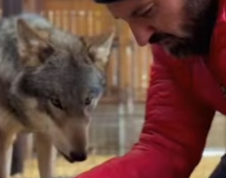 Q1912010 couldn believe it when it happened (Part 2)