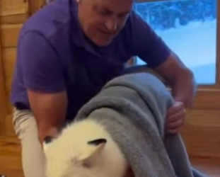 Q1912008 mother fox condition suddenly woresened, but refused (Part 2)