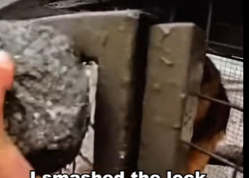 P1612006 A new tomorrow begins now. (Part 2)