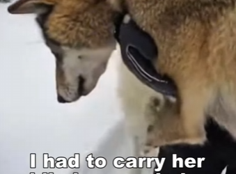 P1612005 Love showed up bravely. (Part 2)