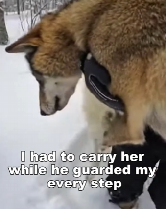 P1612005 Love showed up bravely. (Part 2)