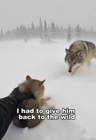 P1612003 A miracle in motion. (Part 2)