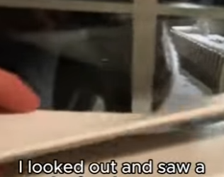 P1612001 New life unlocked today (Part 2)