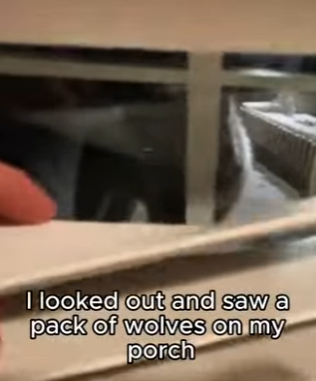 P1612001 New life unlocked today (Part 2)