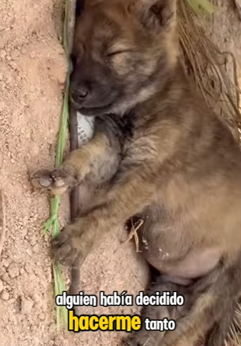 F2012004 Fui arrojado la carretera aún escucho el sonido del golpe (Parte 2)