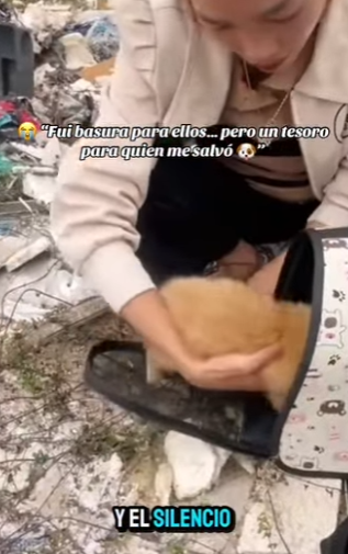 F2012011 Fui basura para ellos pero un tesoro para quien me salvó (Parte 2)