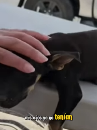 F2012005 Sin comida, sin agua sin amor (Parte 2)