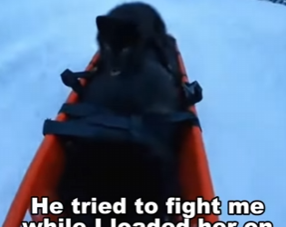 P2112005 From fear to freedom (Part 2)