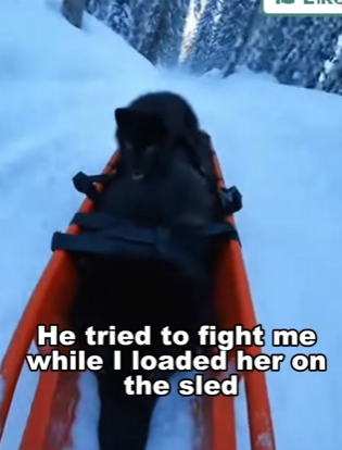 P2112005 From fear to freedom (Part 2)