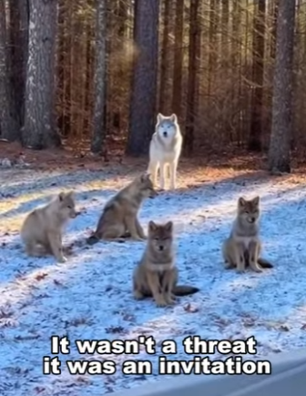 P2112003 A heart saved today (Part 2)