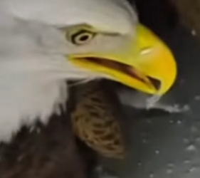 P2112006 Compassion creates change (Part 2)