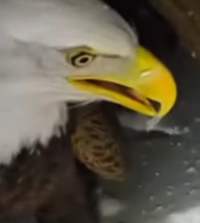 P2112006 Compassion creates change (Part 2)