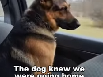 P2112002 Gentle care makes miracles (Part 2)