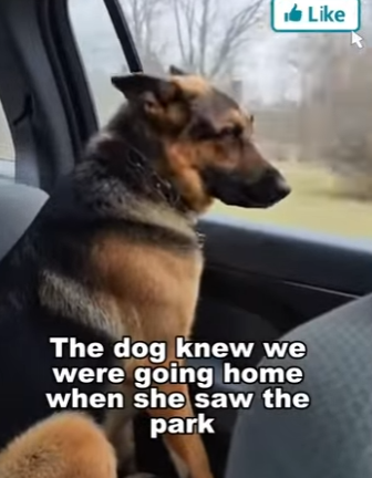 P2112002 Gentle care makes miracles (Part 2)