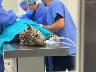 P2112004 What an experience (Part 2)