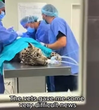 P2112004 What an experience (Part 2)