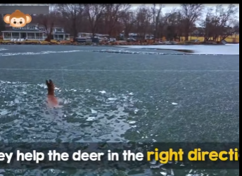 S2112006 family was sinking