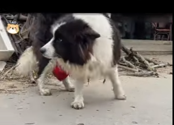 S2112002 Grandma Couldn Afford Surgery