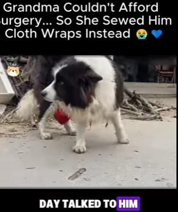 S2112002 Grandma Couldn Afford Surgery