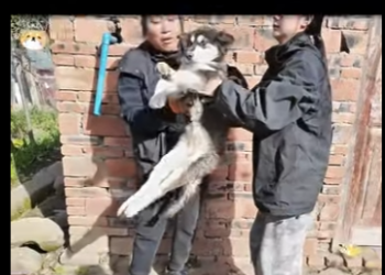 S2112005 Twenty Three Journey Box to Hope