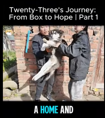 S2112005 Twenty Three Journey Box to Hope