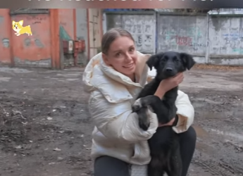 S2112003 Almost Left Him Until He Reached Me