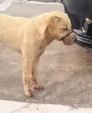 A2212006 If you don love me, please don hurt me (Parte 2)