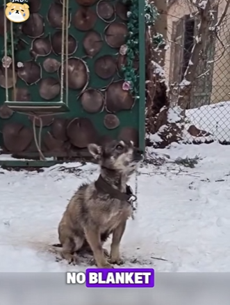 S2112004 Take Him. Just Leave Chain. Most Heartless Words We Ever Heard