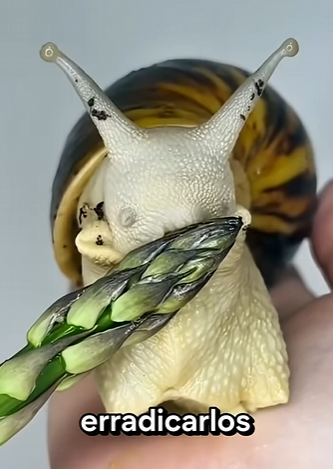 G2312004 Las Plagas que Todos Los Gobiernos Temen (Parte 2)