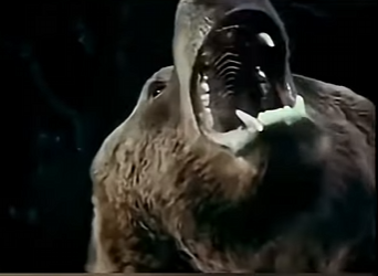 G2312005 Animales de Películas de Terror (Parte 2)