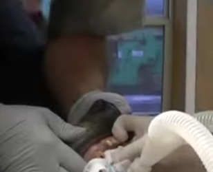 R2212002 Oso rescatado (Parte 2)