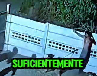 D2212003 Delincuentes Huyeron Al Ver Al Perro Suelto (Parte 2)