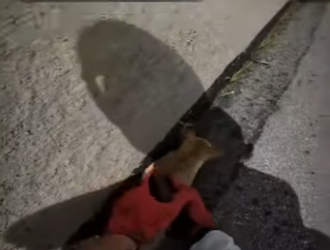 V2212001 motociclista se encuentra un gatito miren lo que paso (Part 2)